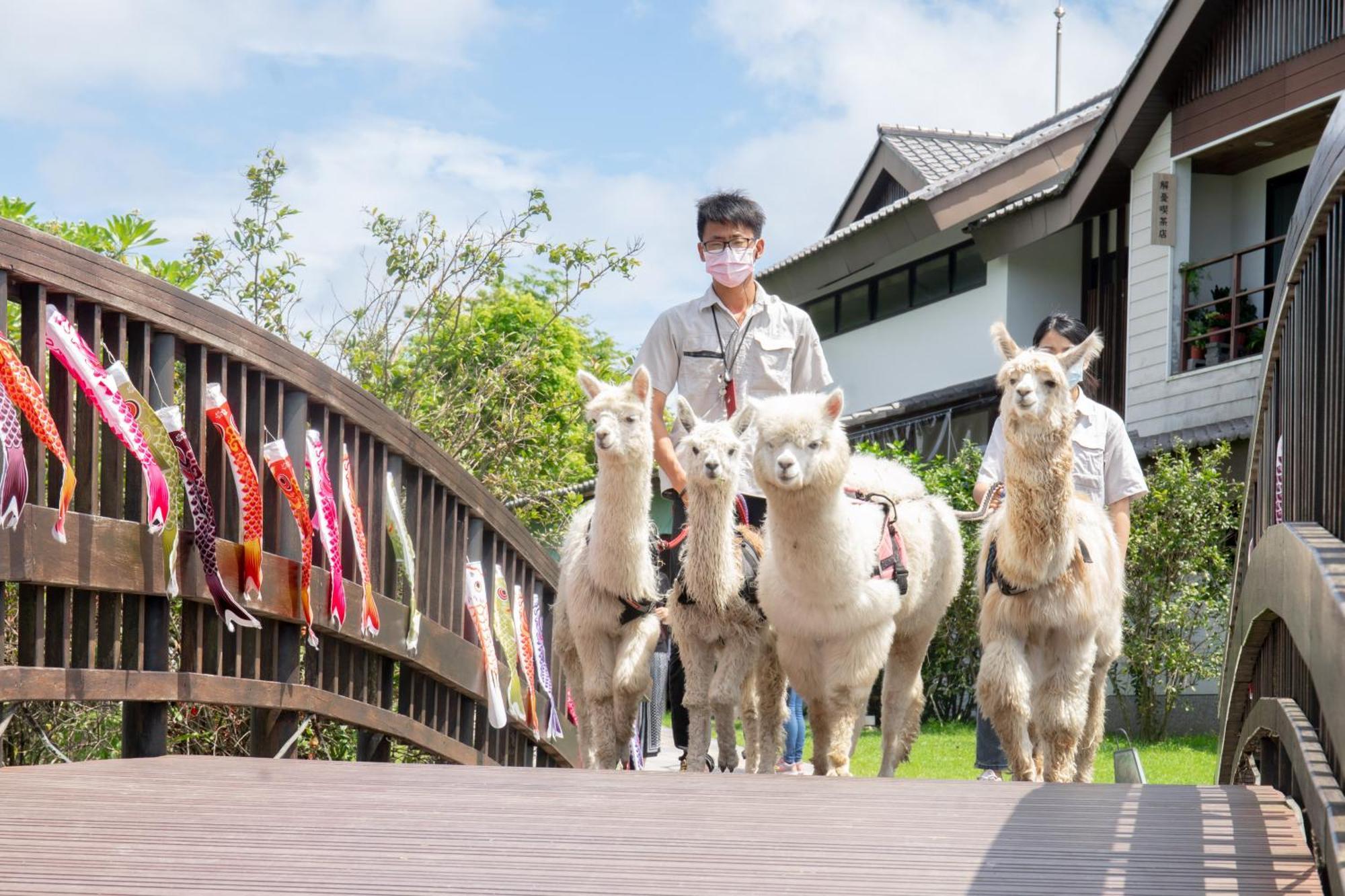 Dancewoods Hotel Wujie Bagian luar foto